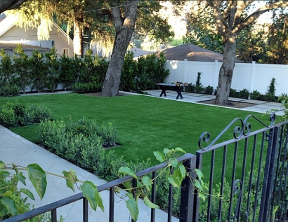 Fake Lawn Los Gatos, California Landscaping, Front Yard Landscaping Ideas