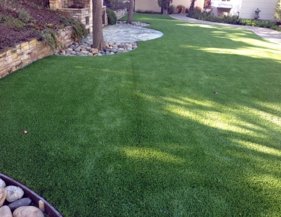 Fake Lawn McMinnville, Oregon Lawns, Backyard Designs