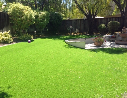 Fake Lawn Strongsville, Ohio Lawn And Garden, Backyard Ideas