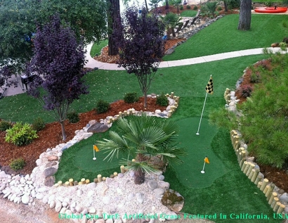 Fake Turf Huntington, West Virginia Lawns, Backyard Design