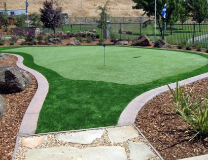 Fake Turf Kendall West, Florida How To Build A Putting Green, Backyard Garden Ideas