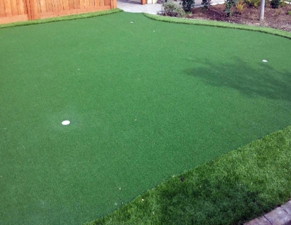 Fake Turf Massillon, Ohio Garden Ideas