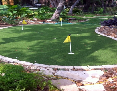 Fake Turf San Marcos, Texas City Landscape, Backyards