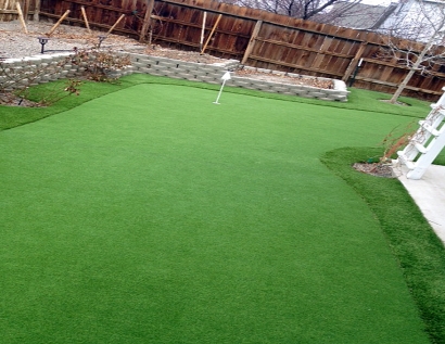 Faux Grass East Palo Alto, California Paver Patio, Backyard Landscaping Ideas