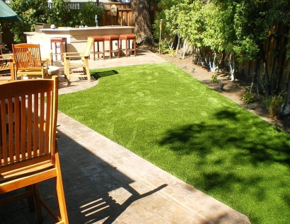 Grass Carpet Elmhurst, Illinois Gardeners, Backyard Designs