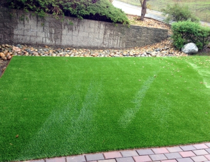 Grass Carpet Fair Lawn, New Jersey Lawn And Garden, Backyard Makeover