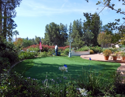 Grass Carpet Mission Bend, Texas Home And Garden, Backyard Ideas