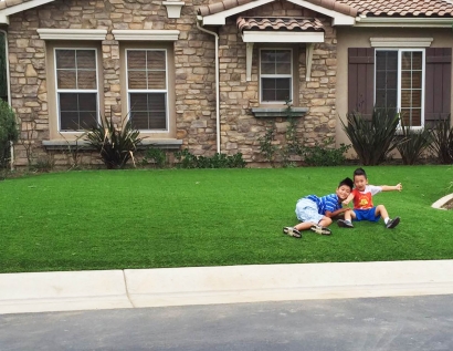 Grass Carpet Plainview, New York Front Yard Landscaping