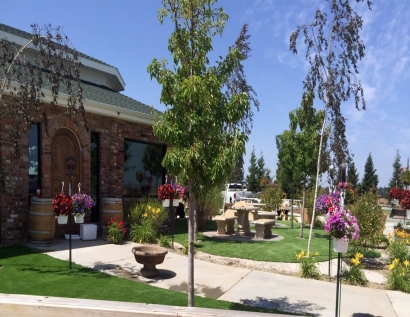 Grass Turf Antelope, California City Landscape, Commercial Landscape