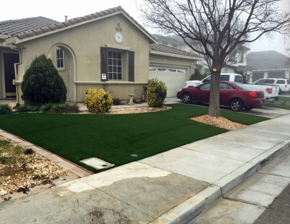 Grass Turf Glen Ellyn, Illinois Roof Top, Front Yard Design