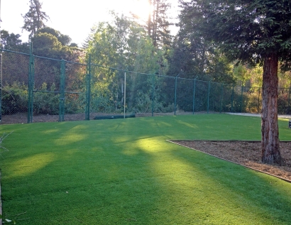 Grass Turf San Bruno, California Landscape Photos, Parks