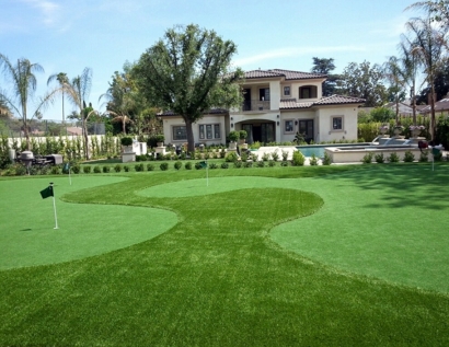 Grass Turf Westfield, New Jersey Landscaping, Small Front Yard Landscaping