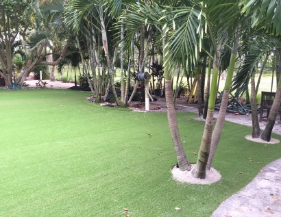 Green Lawn Anderson, South Carolina Landscape Ideas, Commercial Landscape