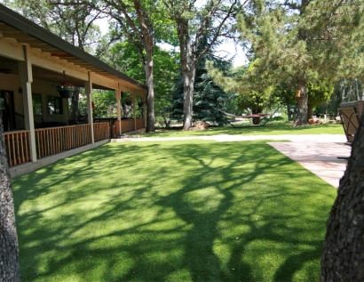 Green Lawn Calexico, California Fake Grass For Dogs, Backyard Landscaping Ideas