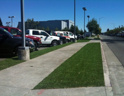 Green Lawn East Providence, Rhode Island Lawn And Landscape, Commercial Landscape