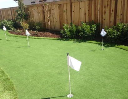 Green Lawn Ocoee, Florida Diy Putting Green, Backyard