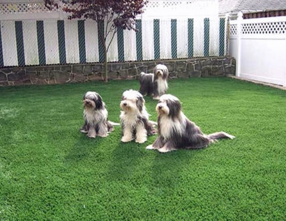 Installing Artificial Grass Hinesville, Georgia Garden Ideas, Grass for Dogs