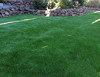 Installing Artificial Grass Montclair, California Hotel For Dogs, Backyard Ideas