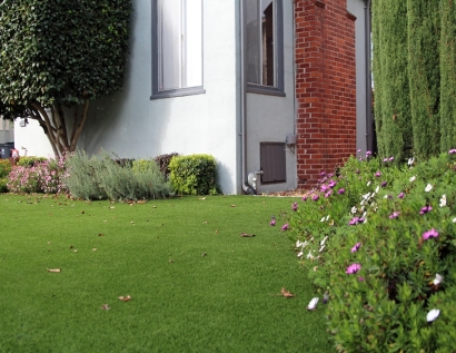 Outdoor Carpet Englewood, New Jersey Lawn And Garden, Landscaping Ideas For Front Yard