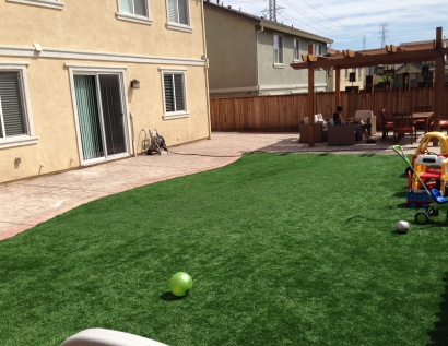 Plastic Grass Central, Louisiana Lacrosse Playground, Small Backyard Ideas