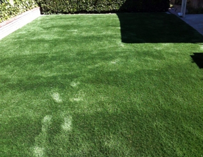 Plastic Grass La Vergne, Tennessee Design Ideas, Backyard Ideas