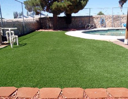 Plastic Grass Texarkana, Arkansas Indoor Dog Park, Natural Swimming Pools