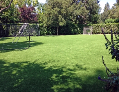 Synthetic Grass Cost Findlay, Ohio Backyard Playground, Backyard Landscaping Ideas