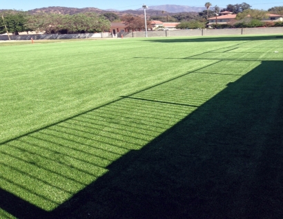 Synthetic Grass Cost Foster City, California Landscaping