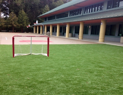 Synthetic Grass Cost New Albany, Indiana Bocce Ball Court, Commercial Landscape