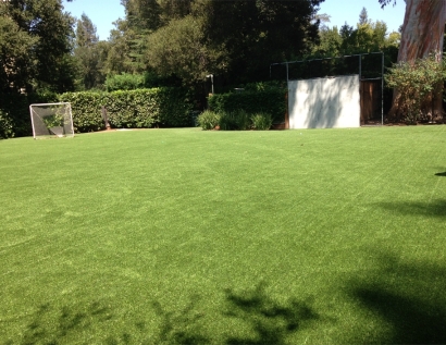 Synthetic Grass Gahanna, Ohio Red Turf, Backyard Landscaping