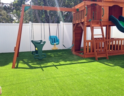 Synthetic Grass Lake Oswego, Oregon City Landscape, Backyard Landscaping Ideas