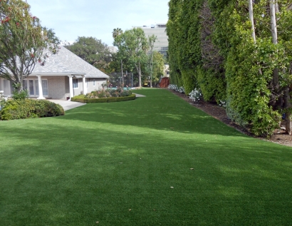 Synthetic Grass Panama City, Florida Grass For Dogs, Front Yard Landscaping Ideas