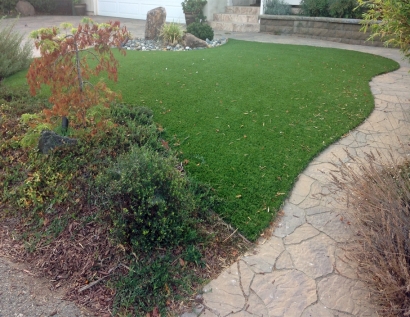 Synthetic Grass Shawnee, Oklahoma Garden Ideas, Backyard Ideas