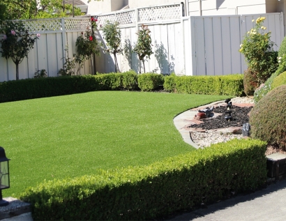 Synthetic Grass Winter Haven, Florida Rooftop, Backyard Designs