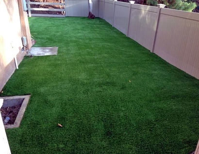 Synthetic Lawn Banning, California Gardeners, Small Backyard Ideas