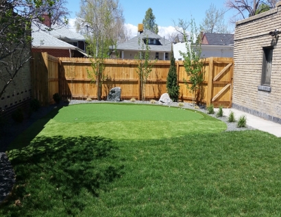Synthetic Turf Belleville, Illinois Putting Green Carpet, Backyard Landscaping