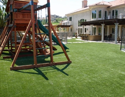 Synthetic Turf Biloxi, Mississippi Landscape Photos, Backyard Design