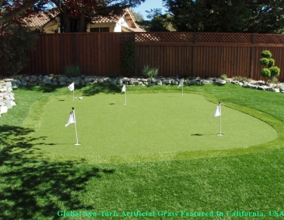 Synthetic Turf Cedar Park, Texas Putting Green Flags, Small Backyard Ideas