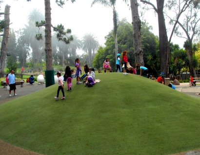 Synthetic Turf Eldersburg, Maryland Backyard Playground, Parks