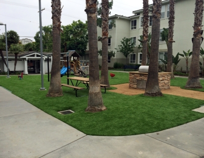 Synthetic Turf Stillwater, Oklahoma Backyard Playground, Commercial Landscape