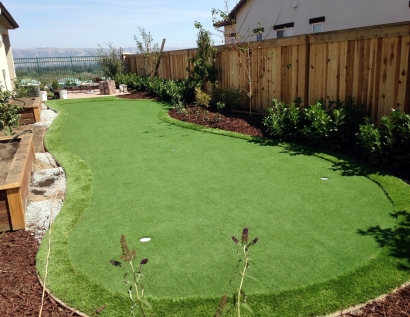 Synthetic Turf Supplier Aventura, Florida Landscaping, Small Backyard Ideas