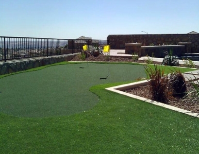 Synthetic Turf Supplier Grapevine, Texas Indoor Putting Greens