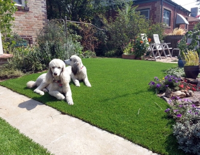 Synthetic Turf Supplier Greenacres City, Florida Backyard Deck Ideas, Grass for Dogs