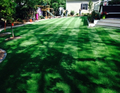 Synthetic Turf Supplier Lake Jackson, Texas Landscape Ideas, Backyard Designs