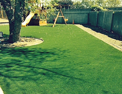 Synthetic Turf Supplier Portage, Indiana Landscaping Business, Backyard Landscaping