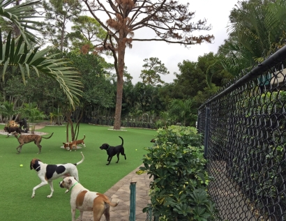 Turf Grass Burbank, Illinois Indoor Dog Park, Commercial Landscape