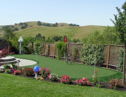 Turf Grass East Chicago, Indiana Backyard Deck Ideas, Small Backyard Ideas