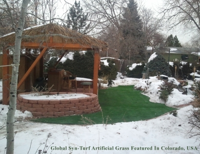 Turf Grass East Lansing, Michigan Backyard Deck Ideas, Backyard Makeover