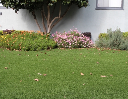 Turf Grass Post Falls, Idaho Garden Ideas, Small Front Yard Landscaping