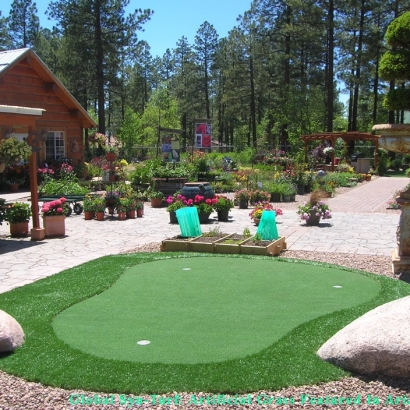 Artificial Grass Bloomfield, New Jersey Golf Green, Backyard Designs